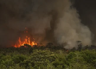 Brasil tem 22,38 milhões de hectares atingidos pelo fogo em nove meses