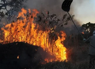 MPF aciona justiça para contratação de brigadistas contra incêndios