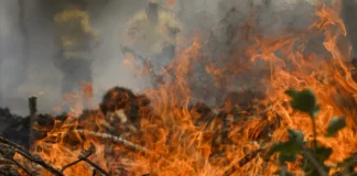 Quase 1/4 do território brasileiro pegou fogo nos últimos 40 anos