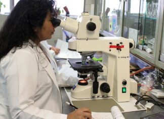 Prêmio chama atenção para desafios enfrentados por mulheres cientistas