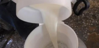 Campanha alerta sociedade sobre alergia alimentar