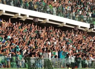 Justiça de São Paulo quer ampliar torcida única