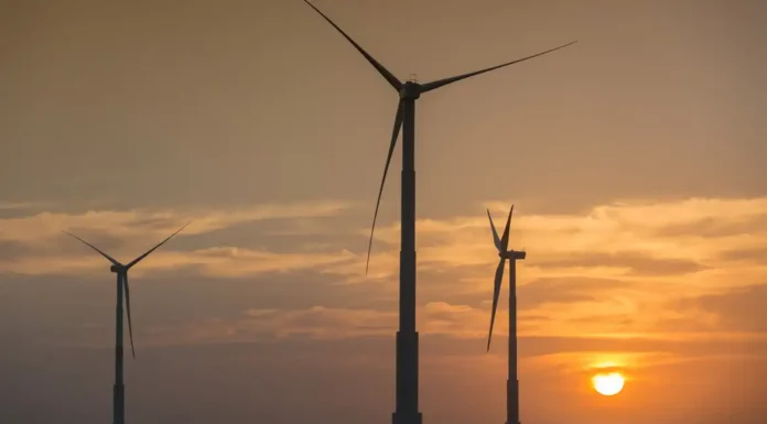 Relatório mostra desigualdade no processo de transição energética