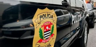 Polícia de SP apreende 2 mil garrafas de gin com notas fiscais falsas