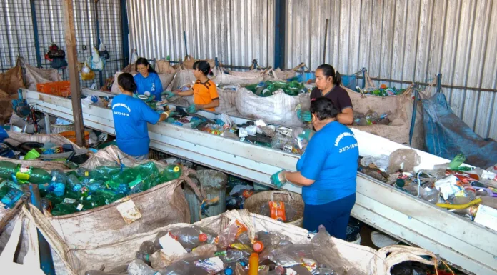 Produção de plástico reciclado no Brasil cresceu 8% em 2024