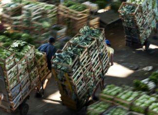Bloqueio em estradas reduz em 17% movimento na Ceagesp