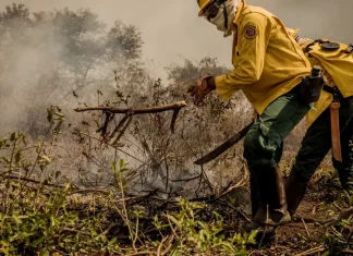 Incêndios no Pantanal já consumiram este ano mais de 15% do bioma