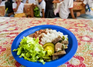 BNDES destina verba do Fundo da Amazônia para merenda escolar