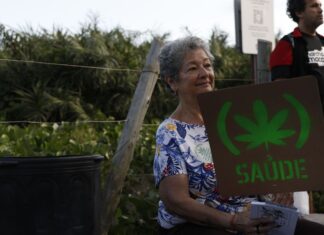 Uruguai: comércio legal de maconha supera 10 toneladas em seis anos