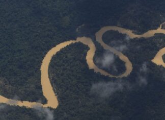 Indígenas denunciam assassinato de três yanomami em Roraima