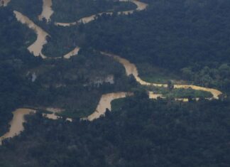 Governo do Pará assina decreto para combater garimpo e desmatamento