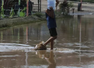 Especialistas alertam sobre risco de doenças trazidas por chuva forte