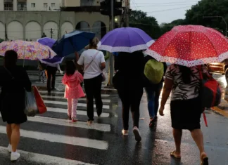 Chuvas em SP provocam alagamentos e queda de árvores