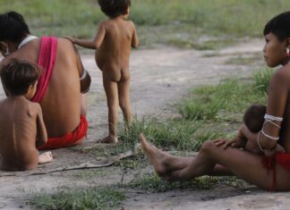 IBGE inicia última etapa do Censo 2022 na Terra Indígena Yanomami