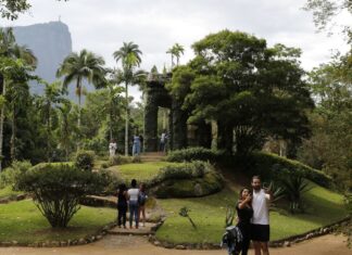 Painel Conserva Flora facilita acesso à flora ameaçada de extinção