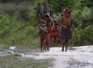 Três antenas de internet via satélite são instaladas em área Yanomami