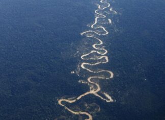Ampliação da defesa na fronteira da Amazônia Legal será avaliada