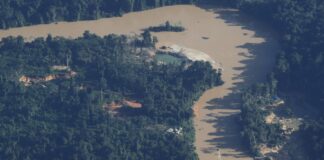 Líder indígena: garimpo chegou a novas áreas yanomami nos últimos anos