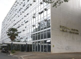 Brasil tem primeiro caso de influenza aviária em aves domésticas