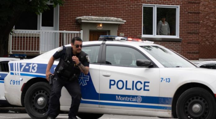 Tiroteio em Montreal dispara caçada policial – veja vídeo
