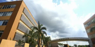 Anvisa proíbe venda de 32 suplementos de empresa de produtos naturais