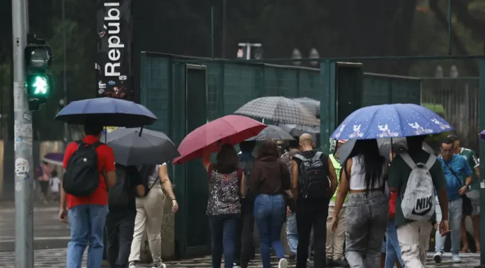 Defesa Civil de São Paulo alerta para temporais em parte do estado
