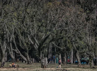 Cidade de São Paulo tem agosto mais seco desde 2020