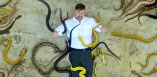 Ilha em SP é eleita a “mais mortal de todas” pelo maior youtuber do mundo