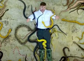 Ilha em SP é eleita a “mais mortal de todas” pelo maior youtuber do mundo