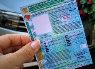 Carteira Nacional de Habilitação tem novo modelo a partir desta quarta