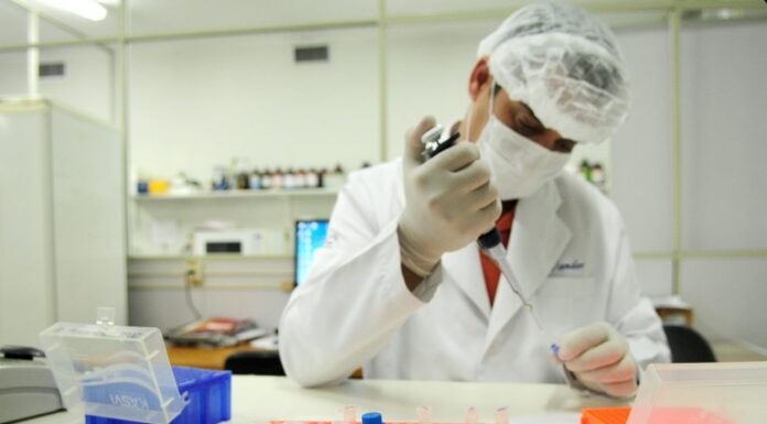 Nova lei amplia coleta de DNA na identificação criminal Nova lei amplia coleta de DNA na identificação criminal