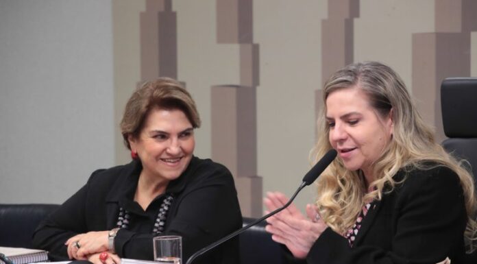 Novo Plano Nacional de Políticas para as Mulheres será lançado no segundo semestre, diz ministra Novo Plano Nacional de Políticas para as Mulheres será lançado no segundo semestre, diz ministra