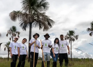 Olimpíada desafia estudantes a restaurar a natureza