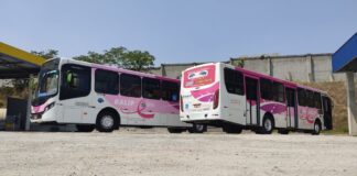 Ônibus rosa: linha de Barueri amplia número de veículos para o mês de outubro