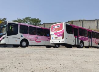 Ônibus rosa: linha de Barueri amplia número de veículos para o mês de outubro