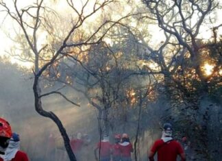 Parque do Juquery, na Grande São Paulo, ainda tem focos de incêndio