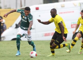 Palmeiras arranca empate com São Bernardo fora de casa no Paulistão