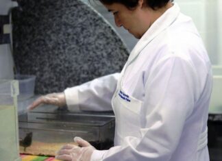 Mulheres são 46% do total de pesquisadores da América Latina e Caribe