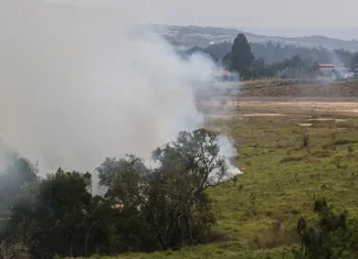 Trabalhador e brigadista morrem em incêndios em São Paulo