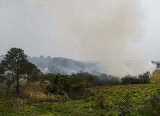Em SP, multas por queimadas chegam a R$ 25 milhões neste ano