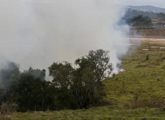 Fundo auxiliará produtores rurais atingidos por incêndios em SP