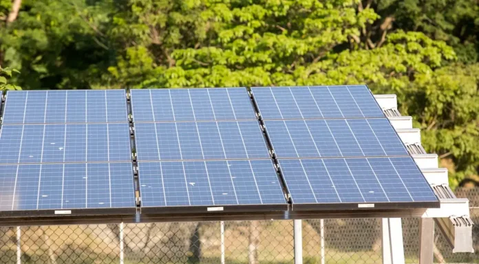 Com 22% da matriz elétrica, energia solar é a 2ª maior fonte do país
