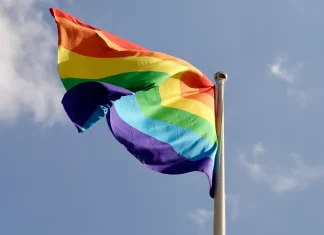 Em 2024, 60% dos projetos de lei sobre LGBT eram a favor da comunidade