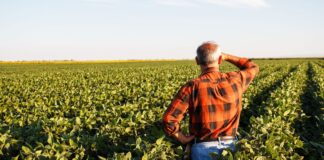 Produtor rural poderá regularizar cadastro ambiental pela internet