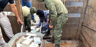 Polícia Federal espera apreender volume recorde de cocaína este ano
