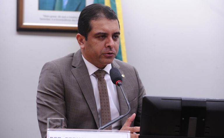 Apresentação do Plano de Trabalho do Coordenador. Dep. Fernando Rodolfo (PRD - PE)