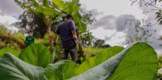 Projeto cria programa de assentamentos produtivos perto de cidades Projeto cria programa de assentamentos produtivos perto de cidades