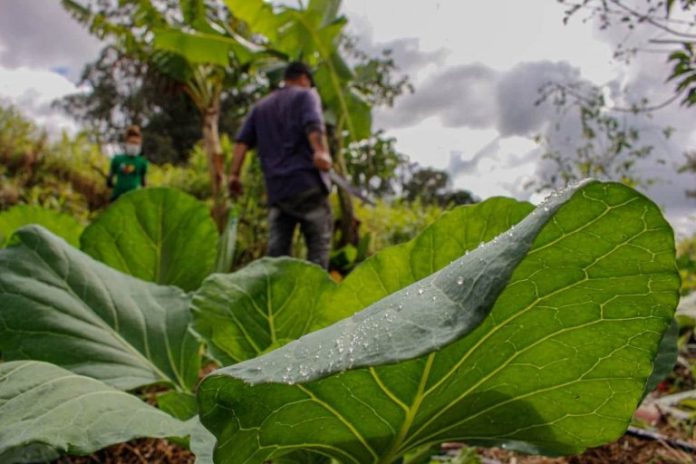 Projeto cria programa de assentamentos produtivos perto de cidades Projeto cria programa de assentamentos produtivos perto de cidades