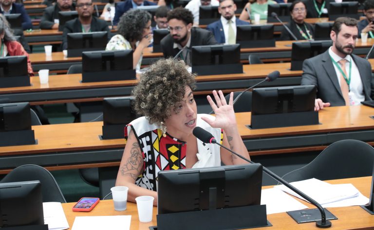 Discussão e votação de propostas legislativas. Dep. Talíria Petrone (PSOL-RJ)