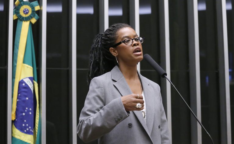 Discussão e votação de propostas legislativas. Dep. Carol Dartora (PT - PR)